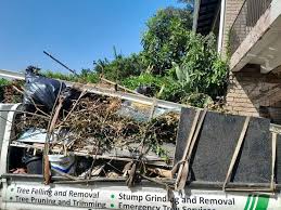 Best Scrap Metal Removal  in Ladera Heights, CA